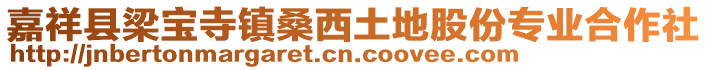 嘉祥縣梁寶寺鎮桑西土地股份專業合作社