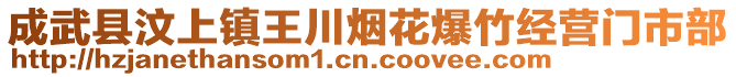 成武县汶上镇王川烟花爆竹经营门市部