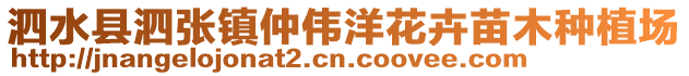 泗水縣泗張鎮仲偉洋花卉苗木種植場