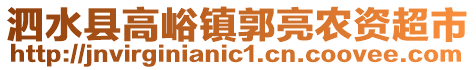 泗水縣高峪鎮(zhèn)郭亮農(nóng)資超市