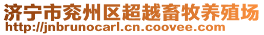 濟(jì)寧市兗州區(qū)超越畜牧養(yǎng)殖場