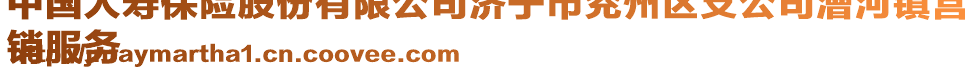 中國人壽保險股份有限公司濟寧市兗州區支公司漕河鎮營
銷服務
