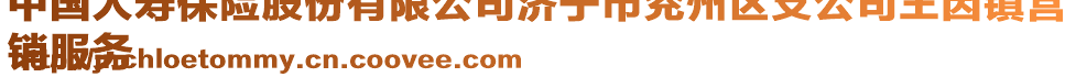 中國人壽保險股份有限公司濟寧市兗州區(qū)支公司王因鎮(zhèn)營
銷服務