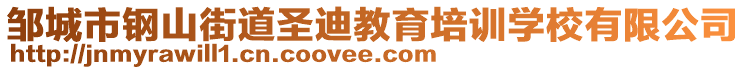 邹城市钢山街道圣迪教育培训学校有限公司