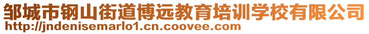 鄒城市鋼山街道博遠教育培訓(xùn)學(xué)校有限公司