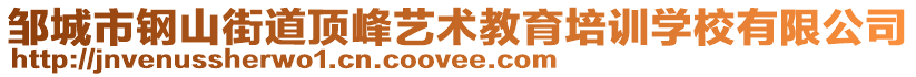 鄒城市鋼山街道頂峰藝術教育培訓學校有限公司