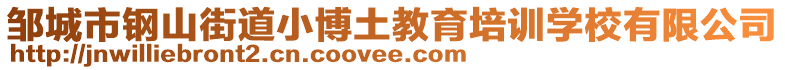 鄒城市鋼山街道小博土教育培訓學校有限公司