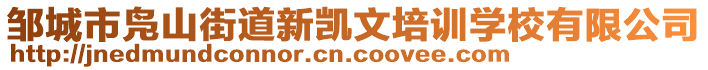 鄒城市鳧山街道新凱文培訓(xùn)學(xué)校有限公司