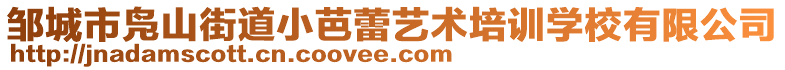 邹城市凫山街道小芭蕾艺术培训学校有限公司