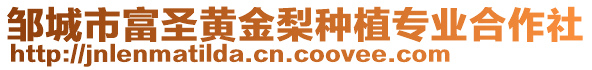 鄒城市富圣黃金梨種植專業(yè)合作社