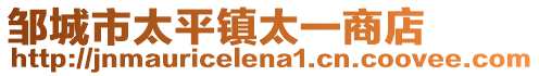 邹城市太平镇太一商店