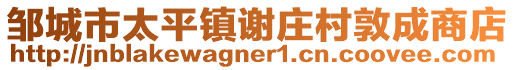 鄒城市太平鎮(zhèn)謝莊村敦成商店