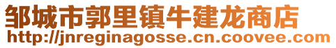 鄒城市郭里鎮牛建龍商店