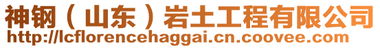 神鋼(山東)巖土工程有限公司