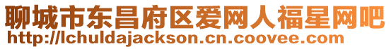 聊城市東昌府區(qū)愛網(wǎng)人福星網(wǎng)吧
