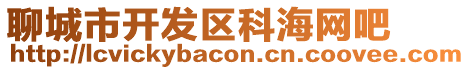 聊城市開發(fā)區(qū)科海網(wǎng)吧