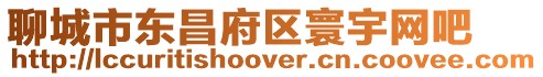 聊城市東昌府區(qū)寰宇網(wǎng)吧
