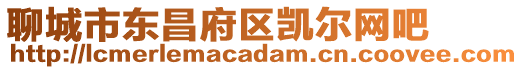聊城市東昌府區凱爾網吧