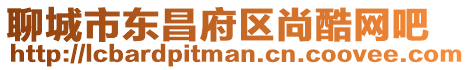 聊城市東昌府區尚酷網吧