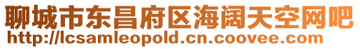 聊城市東昌府區(qū)海闊天空網(wǎng)吧