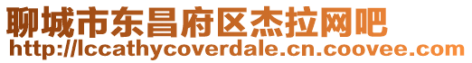 聊城市東昌府區杰拉網吧