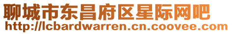 聊城市東昌府區(qū)星際網(wǎng)吧