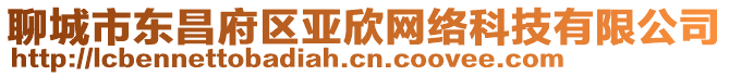 聊城市東昌府區亞欣網絡科技有限公司