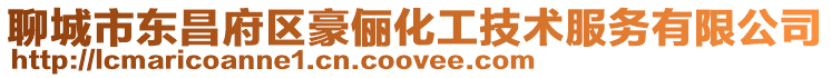 聊城市東昌府區豪儷化工技術服務有限公司
