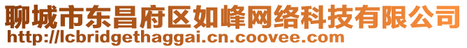 聊城市東昌府區如峰網絡科技有限公司