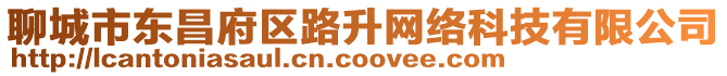 聊城市東昌府區路升網絡科技有限公司