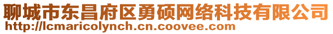 聊城市東昌府區勇碩網絡科技有限公司