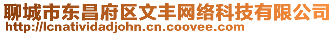 聊城市東昌府區文豐網絡科技有限公司