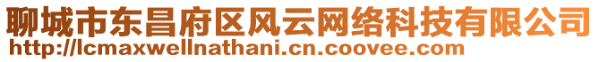聊城市東昌府區(qū)風云網(wǎng)絡科技有限公司