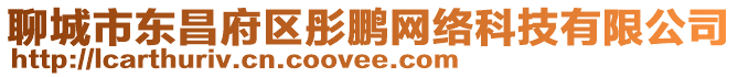 聊城市東昌府區彤鵬網絡科技有限公司