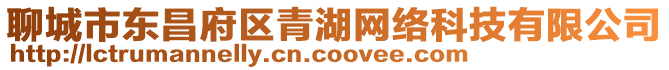 聊城市東昌府區青湖網絡科技有限公司
