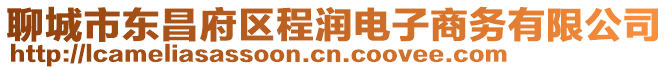 聊城市東昌府區程潤電子商務有限公司