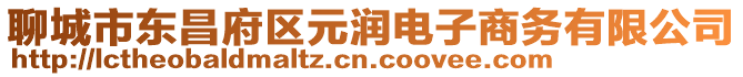 聊城市東昌府區元潤電子商務有限公司
