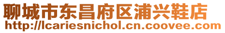 聊城市東昌府區浦興鞋店