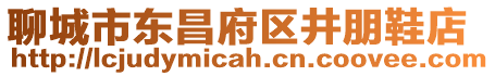 聊城市東昌府區(qū)井朋鞋店