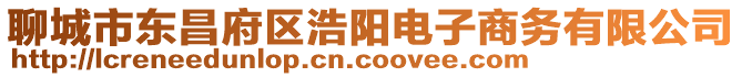 聊城市東昌府區浩陽電子商務有限公司