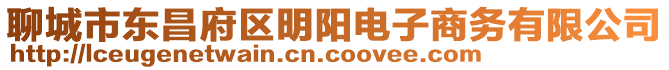 聊城市東昌府區(qū)明陽電子商務有限公司