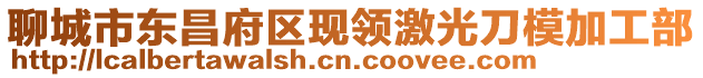 聊城市東昌府區現領激光刀模加工部