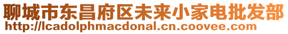 聊城市東昌府區未來小家電批發部