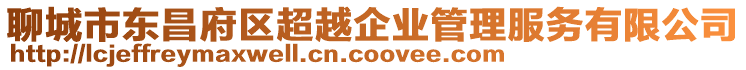 聊城市東昌府區超越企業管理服務有限公司