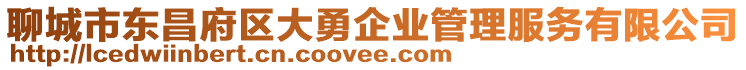 聊城市東昌府區(qū)大勇企業(yè)管理服務(wù)有限公司