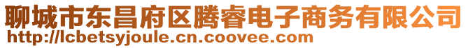 聊城市東昌府區騰睿電子商務有限公司