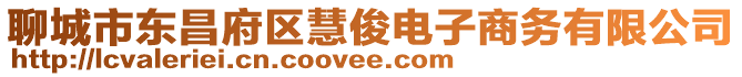 聊城市東昌府區慧俊電子商務有限公司