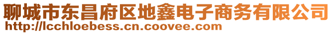 聊城市東昌府區地鑫電子商務有限公司