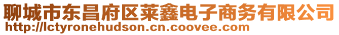 聊城市東昌府區(qū)萊鑫電子商務(wù)有限公司