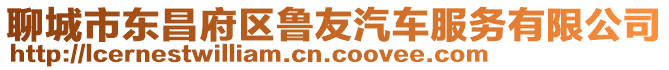 聊城市東昌府區魯友汽車服務有限公司